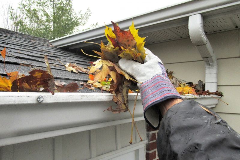 Gutter Leaf Clearing in Baltimore, MD