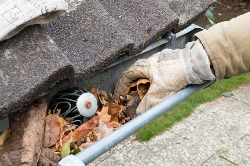 Gutter Pine Needle Removal in Longmont, CO