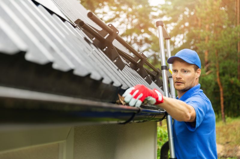 Roof Gutter Cleaning in Fredericksburg, VA